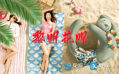 一本正经，一分为二花呗